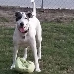 Meet your Posher, William